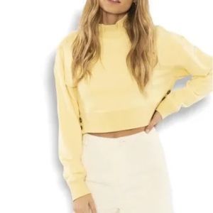 Amuse Society Cropped Sweatshirt